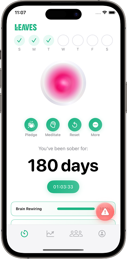 LEAVES App Screenshot
